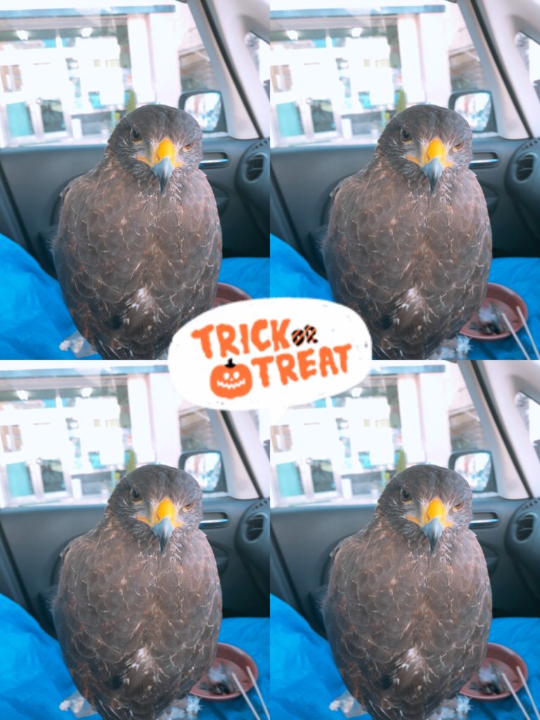 たくさんのお問い合わせありがとうございます