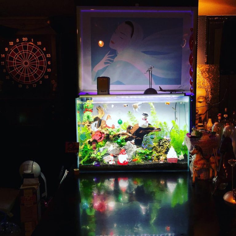 水槽リース熊本