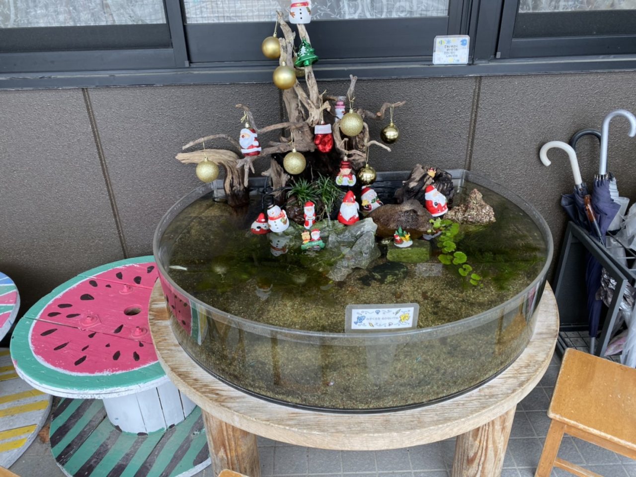 水槽メンテナンス福岡
