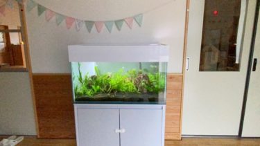 福岡県内認定こども園