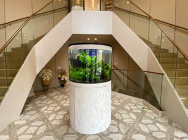 熊本市内アクアリウム