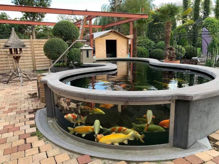 錦鯉水槽メンテナンス福岡