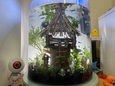 ゲゲゲハウス水槽