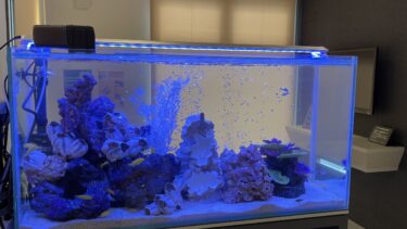 福岡県内歯科医院さんにアクアリウム