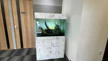 福岡県内オーダーメイドアクアリウム導入