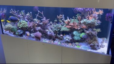 熊本市内オフィス海水1500