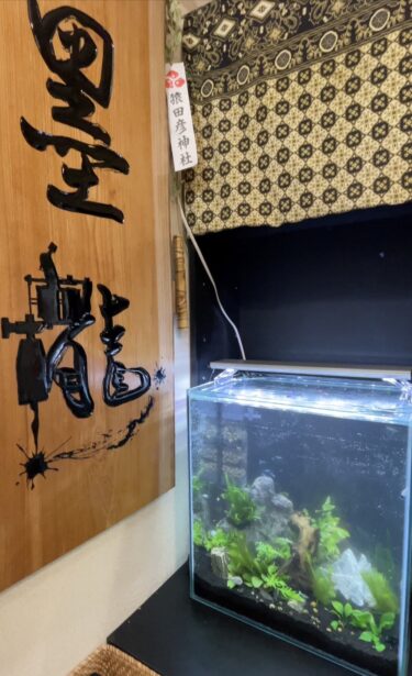 福岡市早良区に新規お客様先に水槽設置してきました｜福岡市内のアクアリウムは大川市の水槽業者HealingSpaceにおまかせください