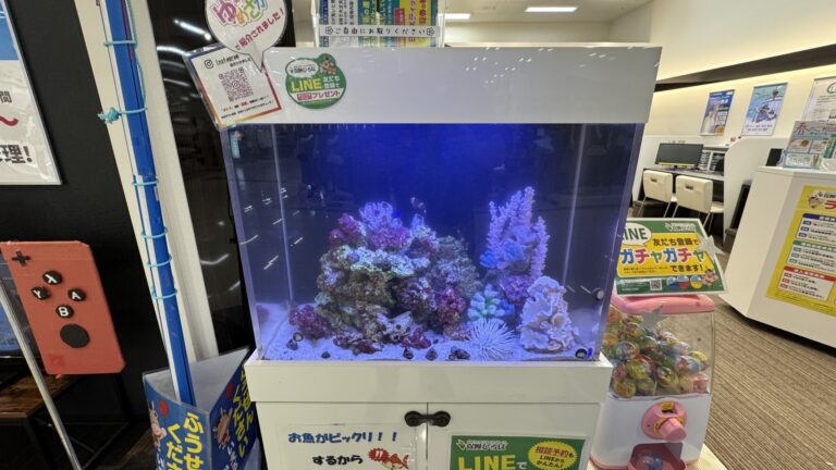佐賀ゆめタウン