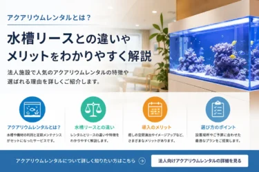 アクアリウムレンタルとは？法人向け水槽レンタル・水槽リースとの違いやメリットを解説する海水水槽