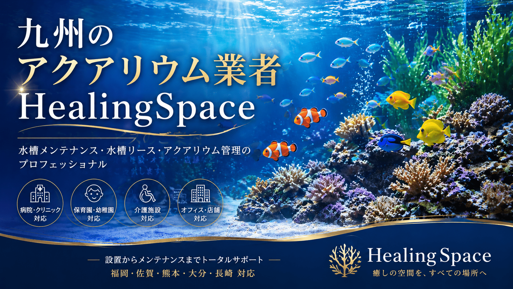 パンフレット｜九州の水槽メンテナンス・水槽リースならHealingSpace