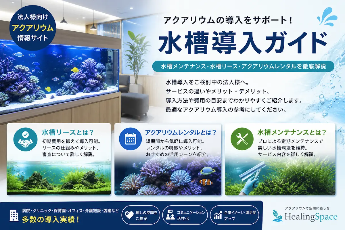 アクアリウム導入ガイド