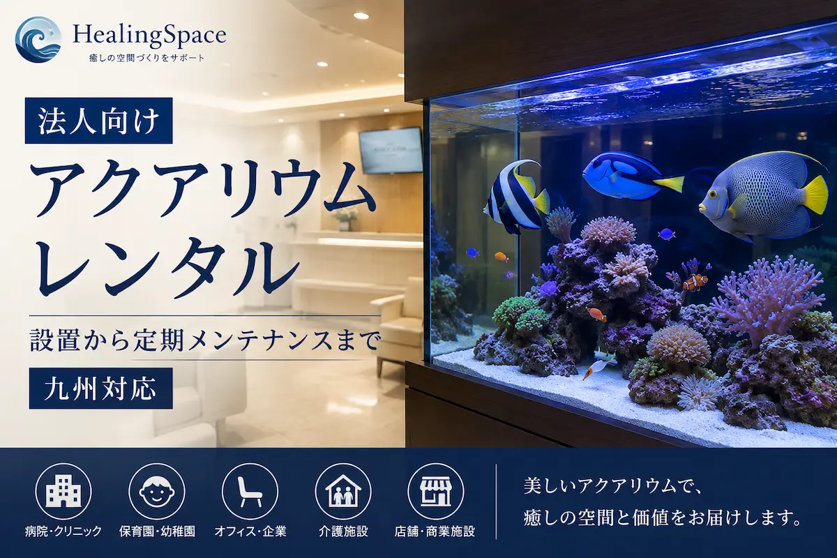 法人向けアクアリウムレンタル｜九州の水槽レンタル・定期メンテナンス｜HealingSpace