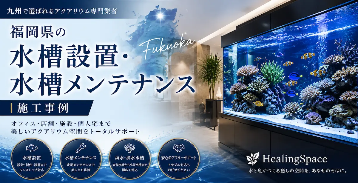 福岡の水槽設置・水槽メンテナンス施工事例|HealingSpace