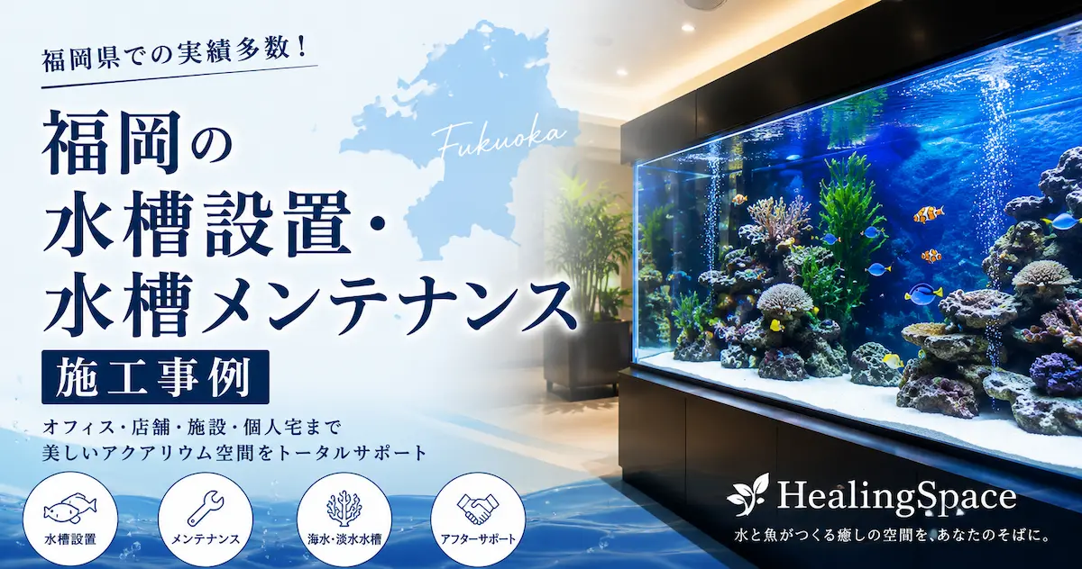 福岡県の水槽設置・水槽メンテナンス施工事例