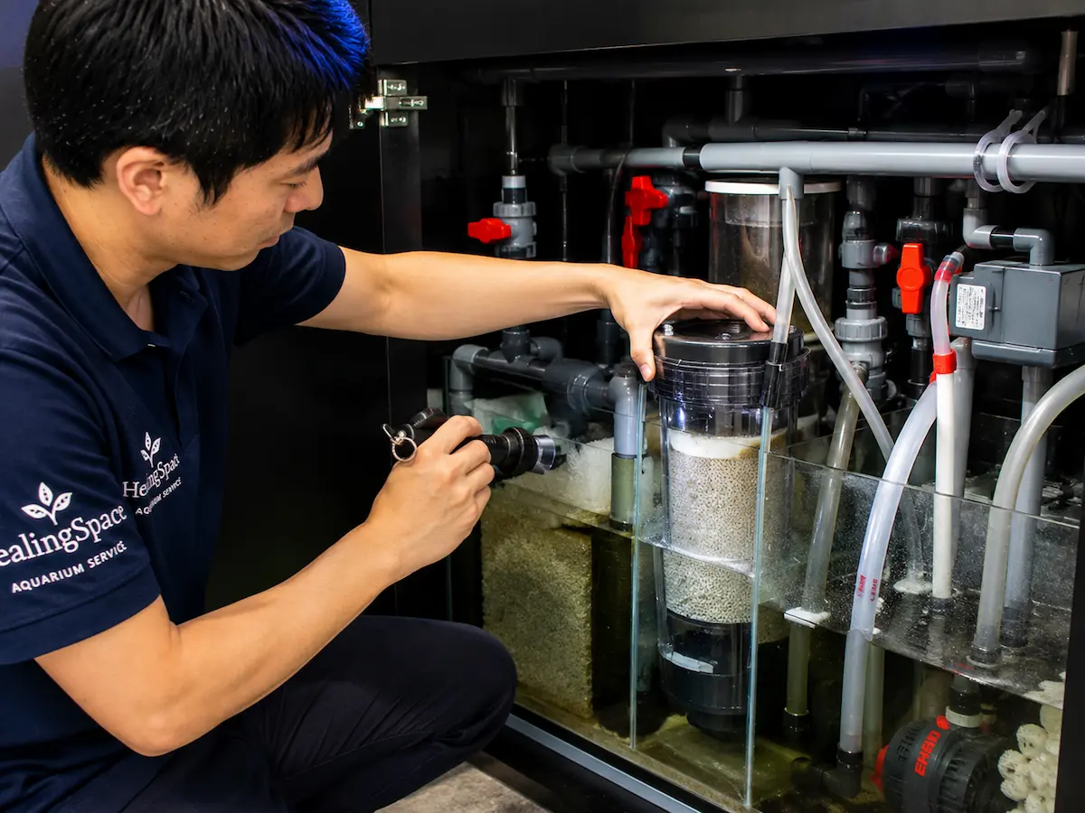 ろ過設備の点検を行う水槽メンテナンス業者