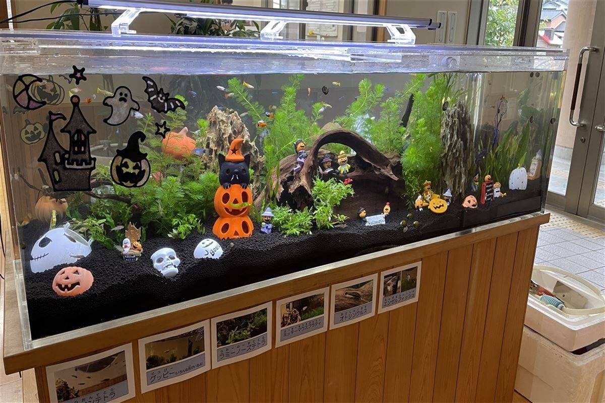 保育園・幼稚園・こども園、理事長・園長先生方へ