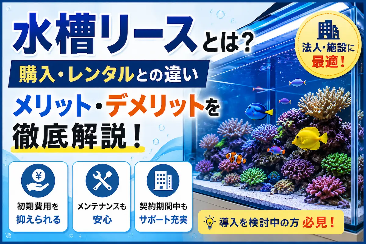 水槽リースとは？購入・レンタルとの違いやメリット・デメリットを徹底解説