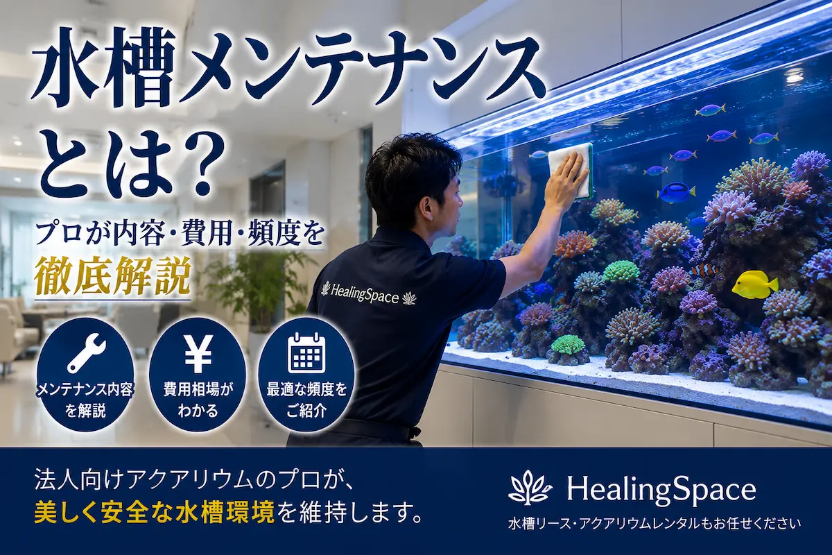 水槽メンテナンスとは?プロが徹底解説|HealingSpace
