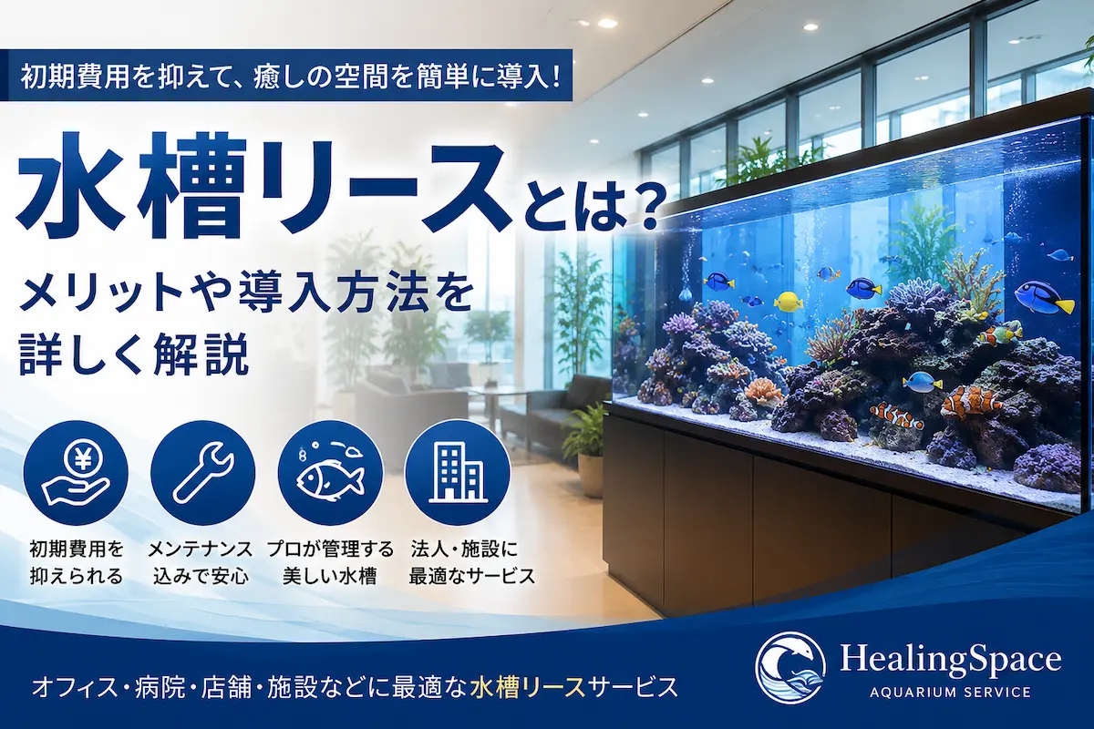 水槽リースとは？メリットや導入方法を詳しく解説｜HealingSpace